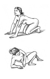 female poses 2